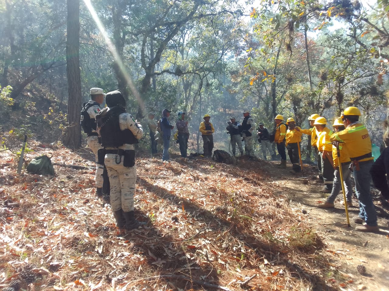 Instancias estatales, federales y municipales liquidan incendios forestales en la Mixteca y Sierra Sur