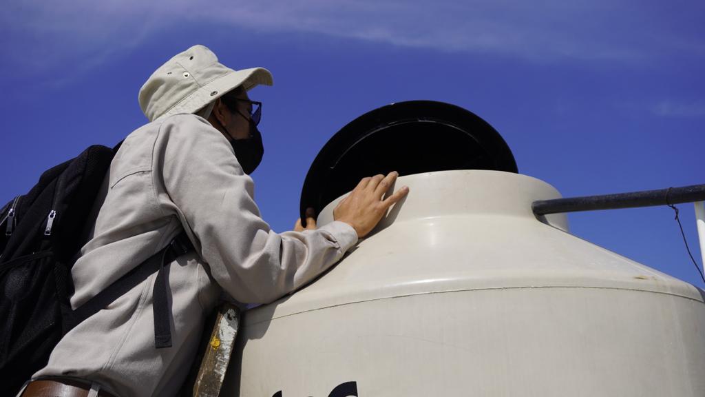 Llaman a la ciudadanía a evitar la proliferación de mosquitos transmisores del dengue