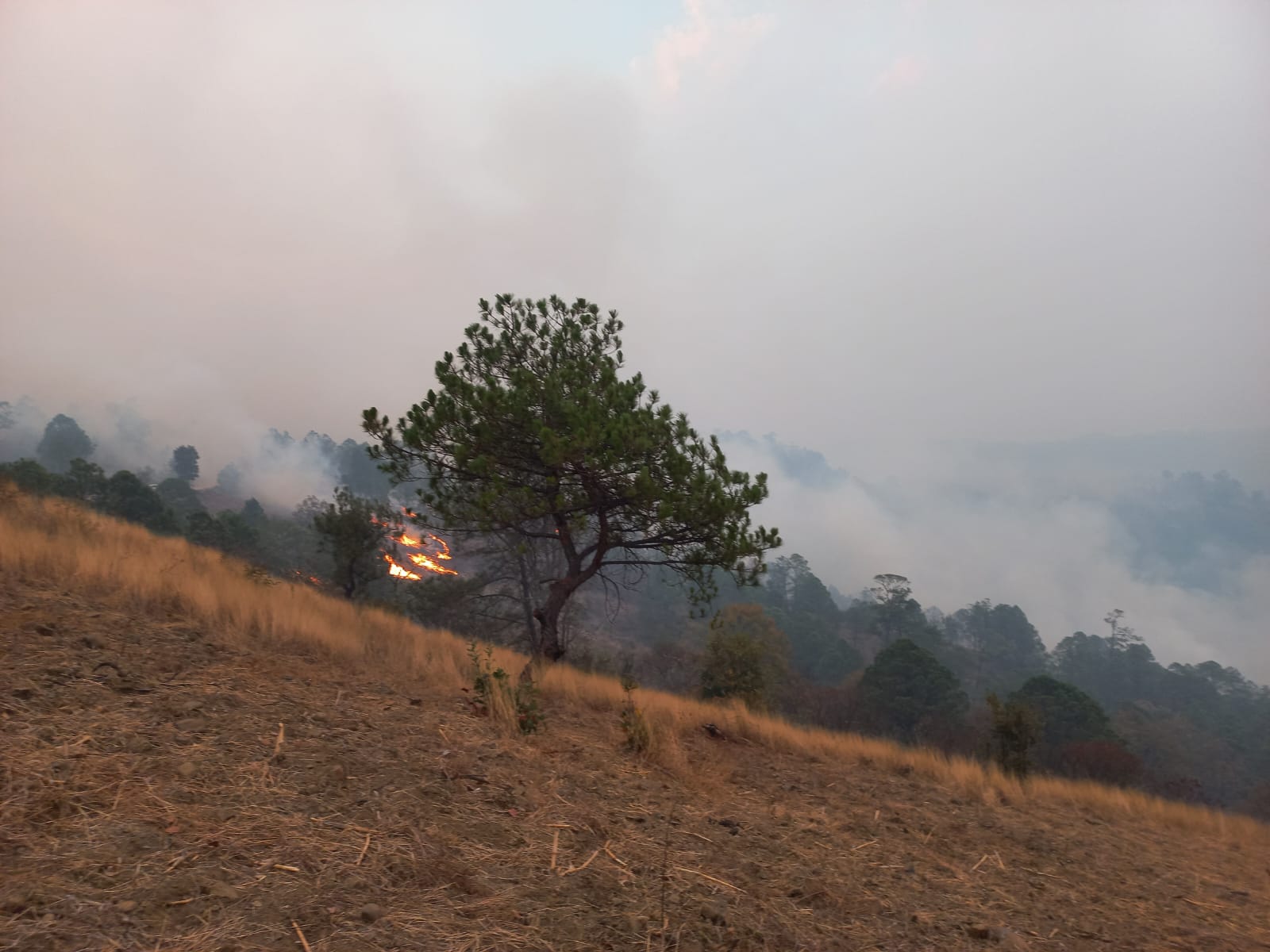 Por incendio forestal en la Mixteca, emite SSO recomendaciones a la población