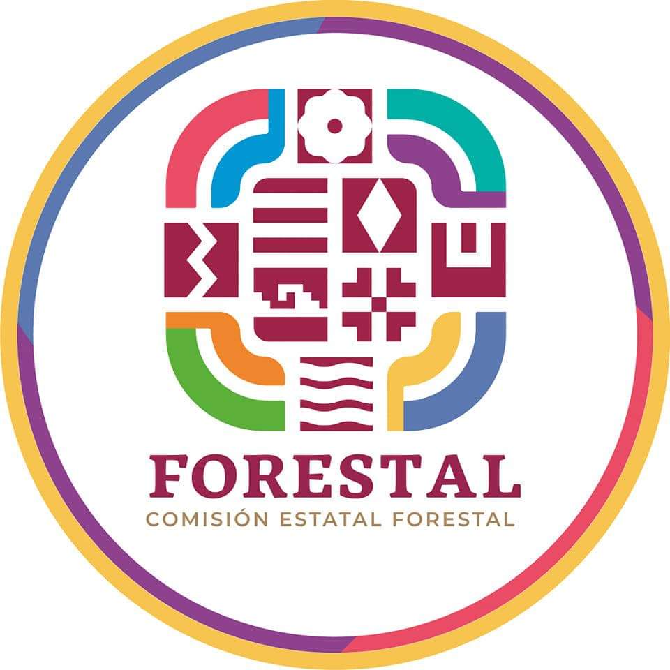 Combate Coesfo cuatro incendios forestales