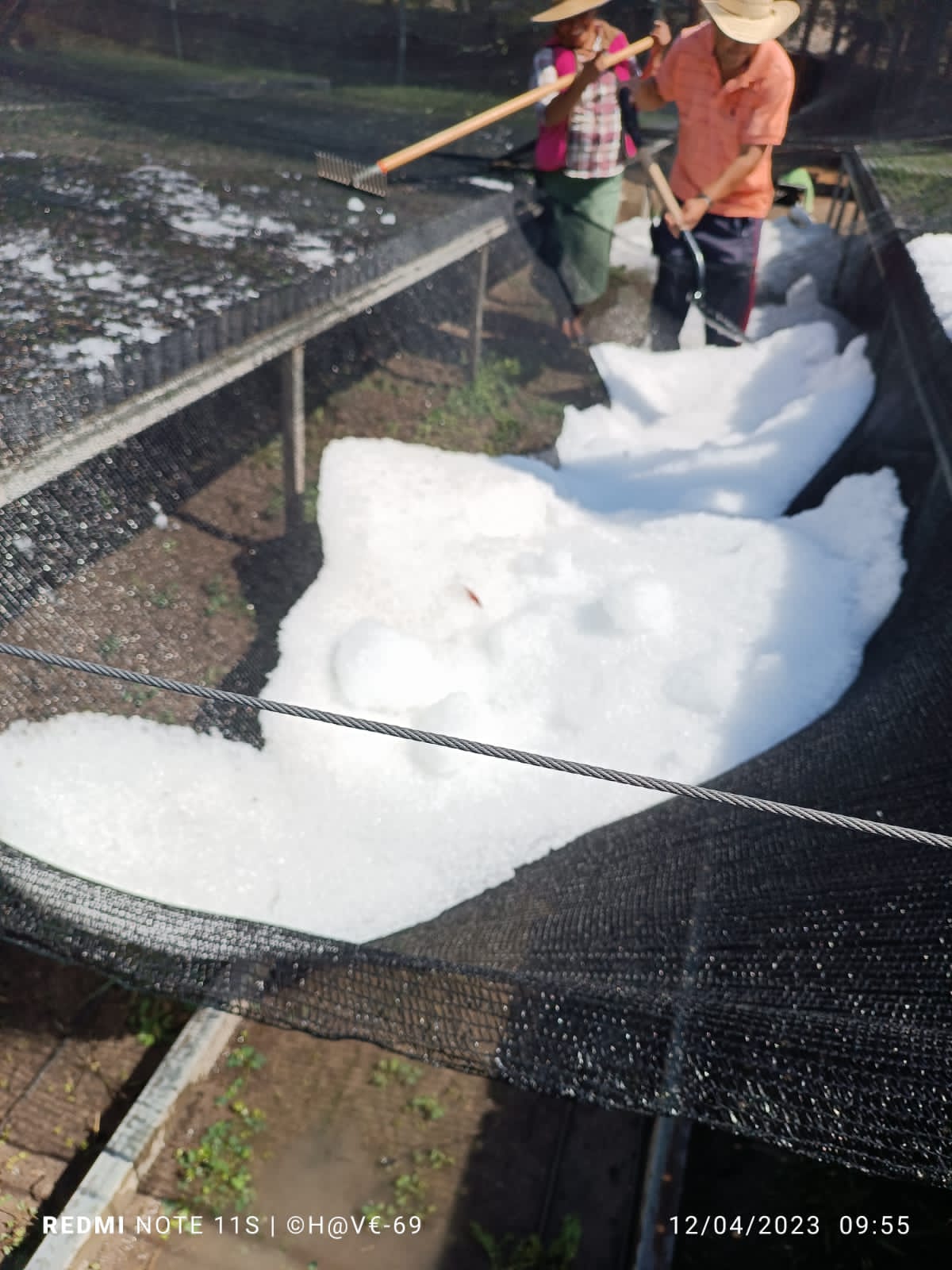 Atiende Coesfo daños provocados por fuerte granizada en vivero forestal de Magdalena Peñasco