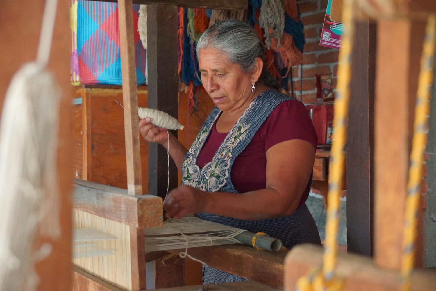 Gobierno del Estado invita a oaxaqueñas a participar en el programa de microcréditos Mujeres Fuerza del Sureste
