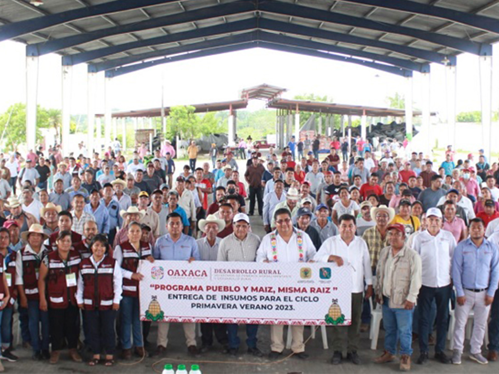 Arranca programa Abasto Seguro de Maíz en la Cuenca del Papaloapan