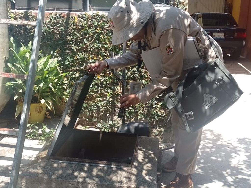 Convoca SSO a realizar la estrategia Patio Limpio