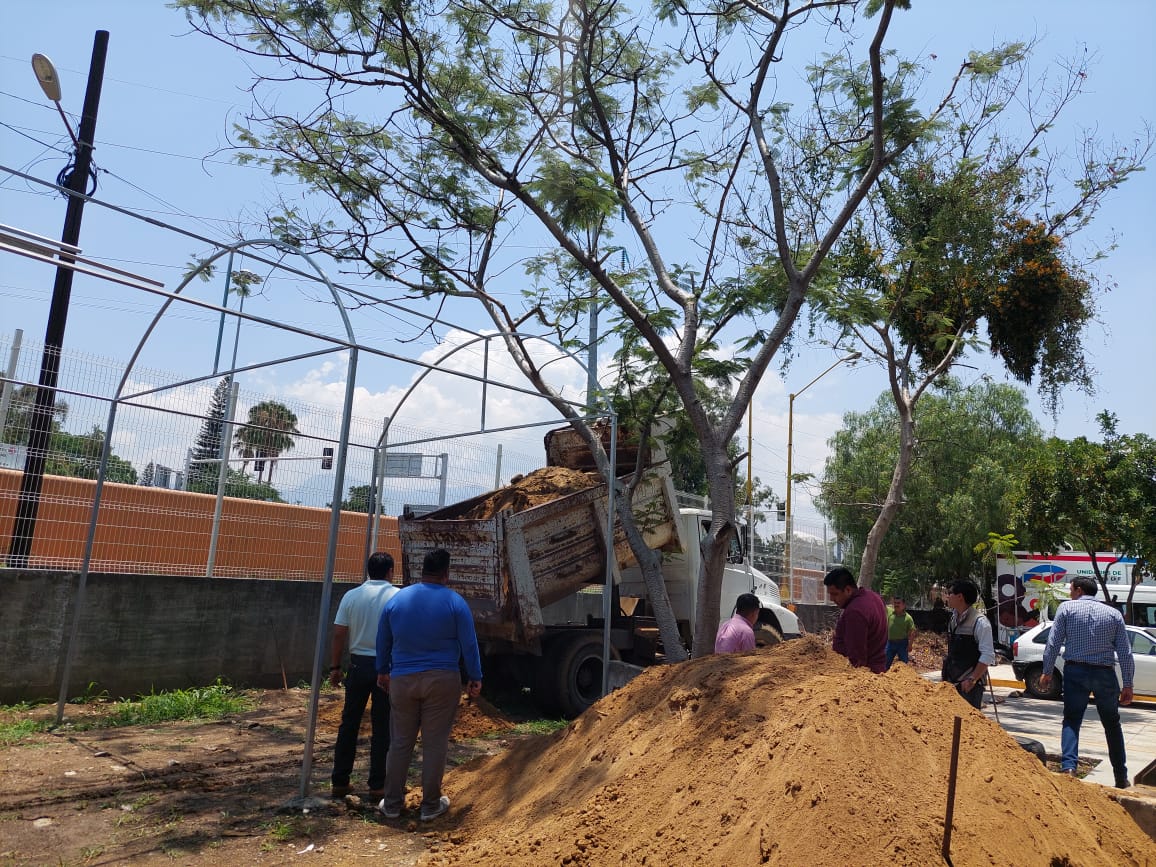 Con micro túnel para hortalizas, Sistema DIF Oaxaca muestra prototipo de proyectos alimentarios