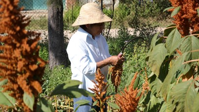 Convoca Icapet a integrarse al Directorio de Capacitadores y Evaluadores Independientes