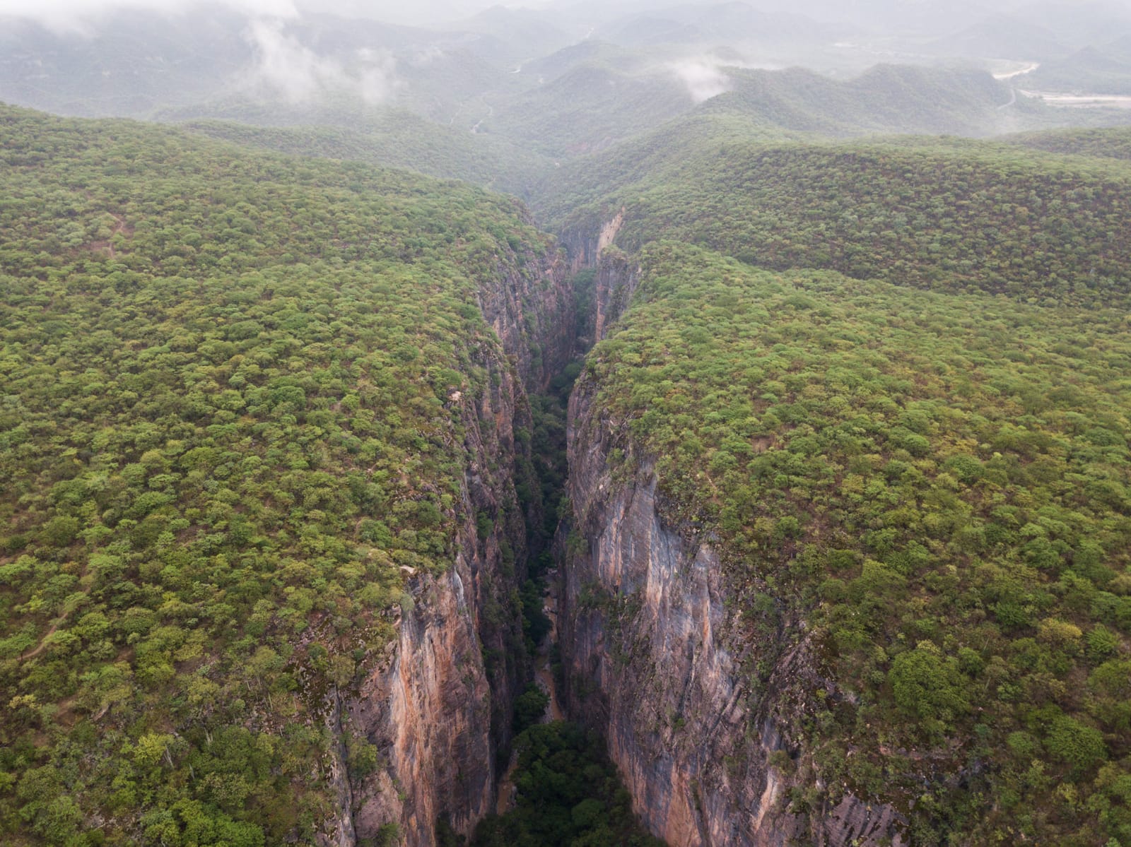 Con actividades de concientización ambiental, celebrarán riqueza natural de Oaxaca