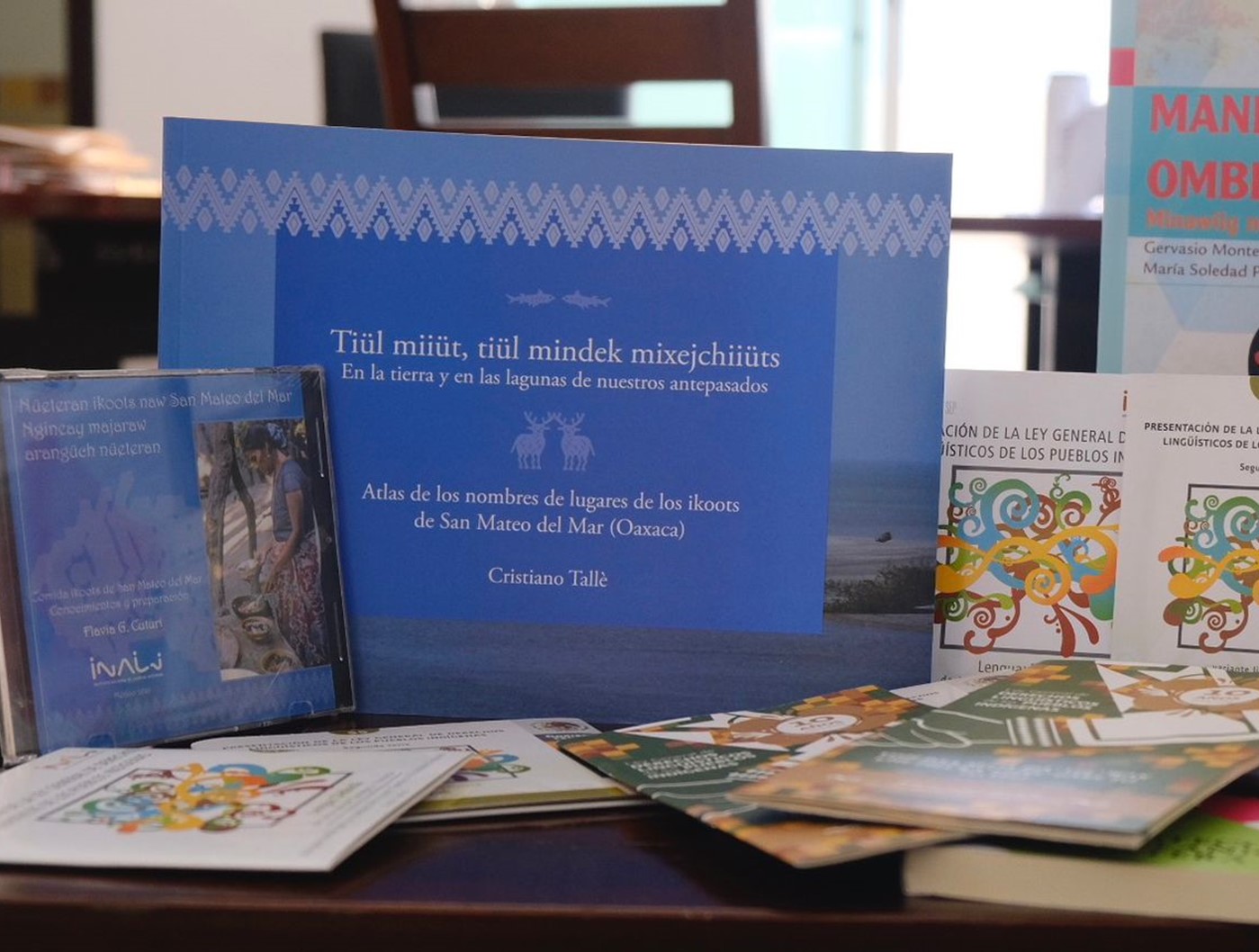 Contarán pueblos con material de consulta en lenguas originarias