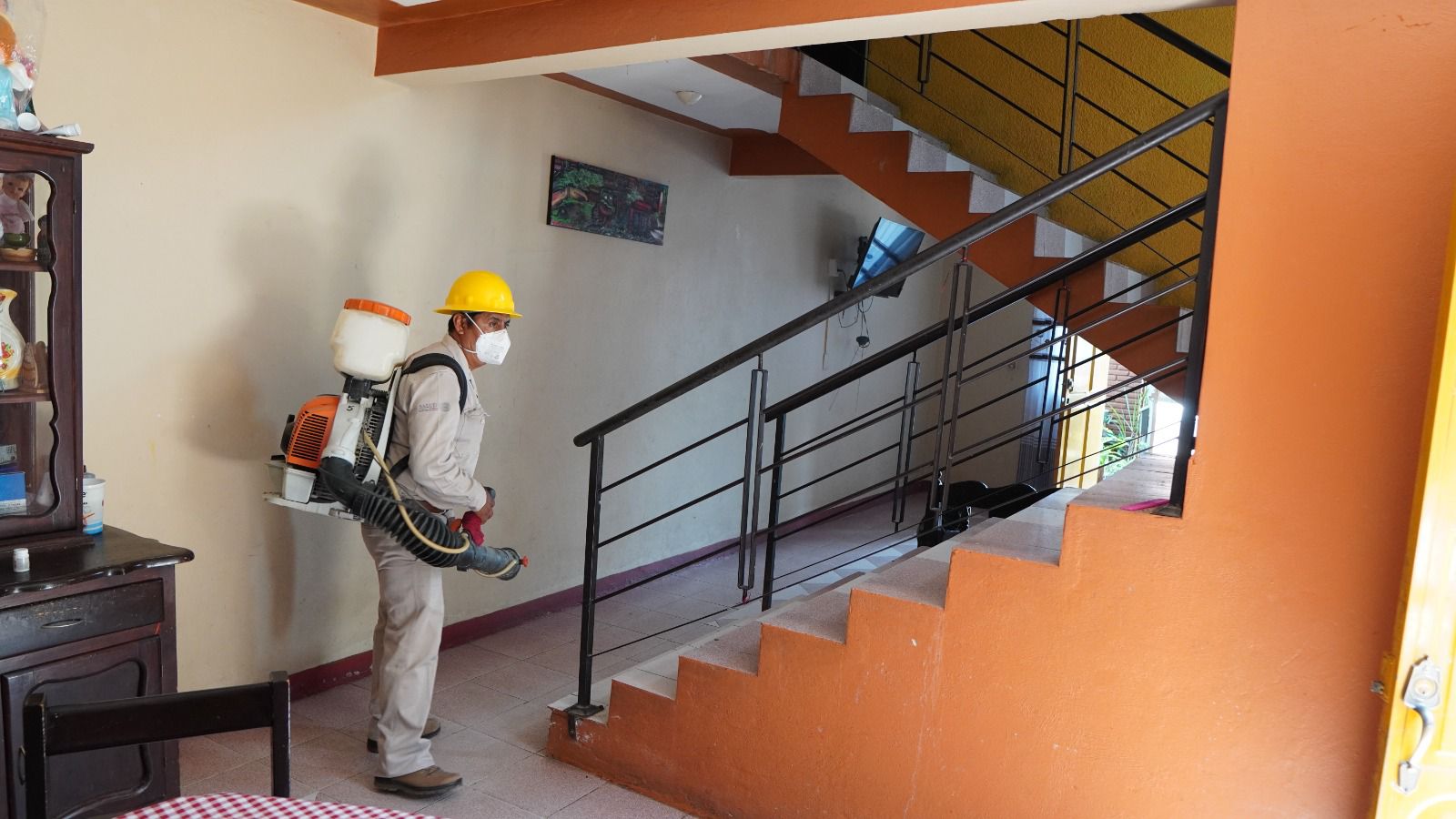 Acciones de patio limpio evitan la propagación del dengue: SSO