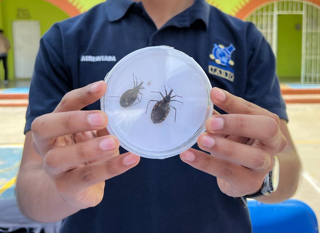 Chagas, causante de problemas cardíacos: SSO