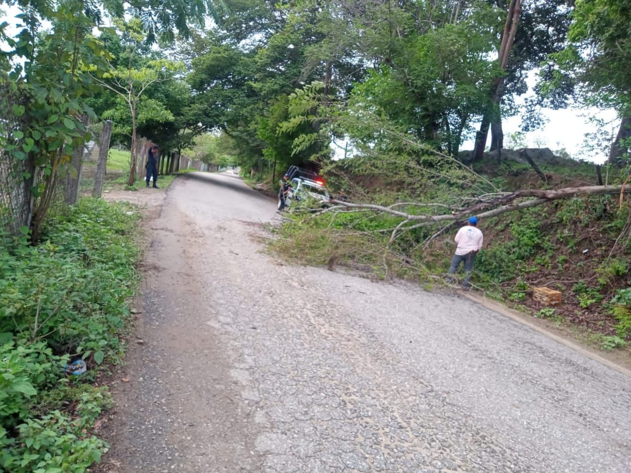 Protección Civil monitorea municipios de la Costa, ante paso de onda tropical número 10