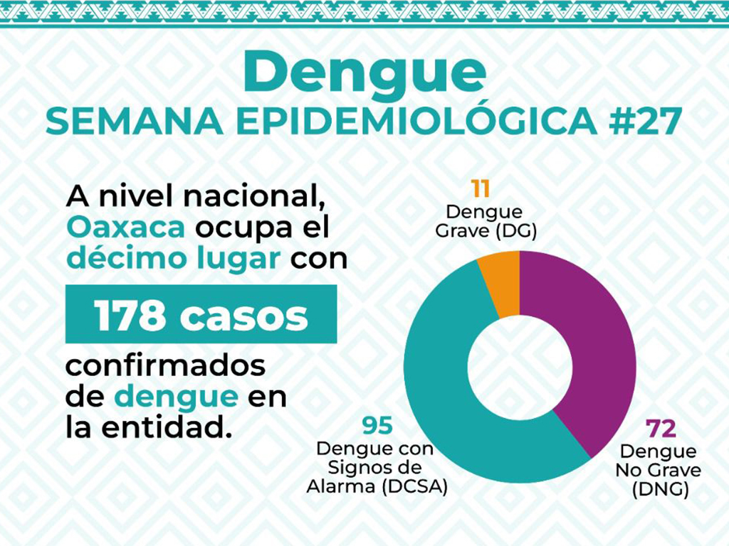 Reitera SSO llamado para recibir atención médica ante síntomas de dengue