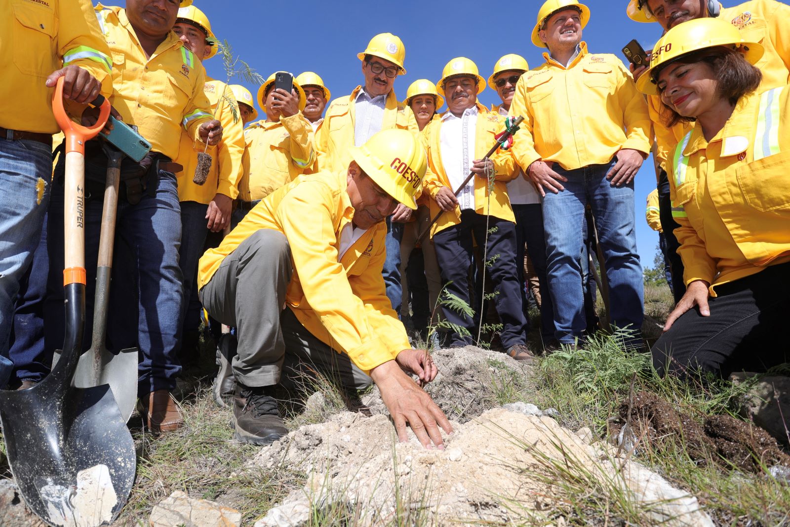 Arranca Salomón Jara Jornada Estatal de Reforestación 2023