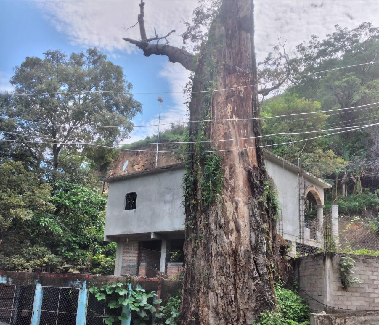 Monitorea Protección Civil municipios afectados por la onda tropical número 13