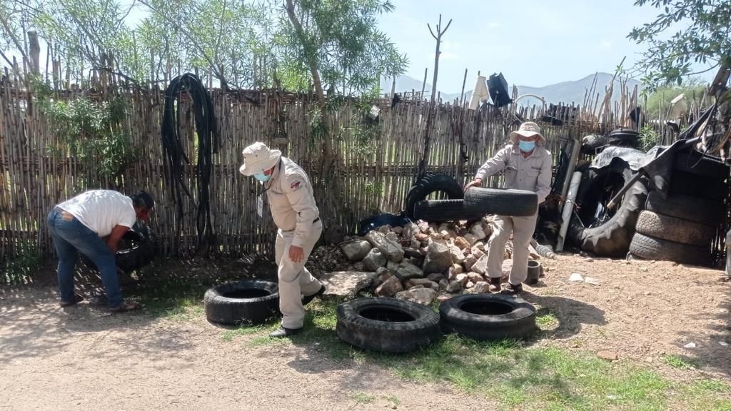 Intensifica SSO acciones preventivas en la Segunda Jornada Nacional de Lucha contra el Dengue