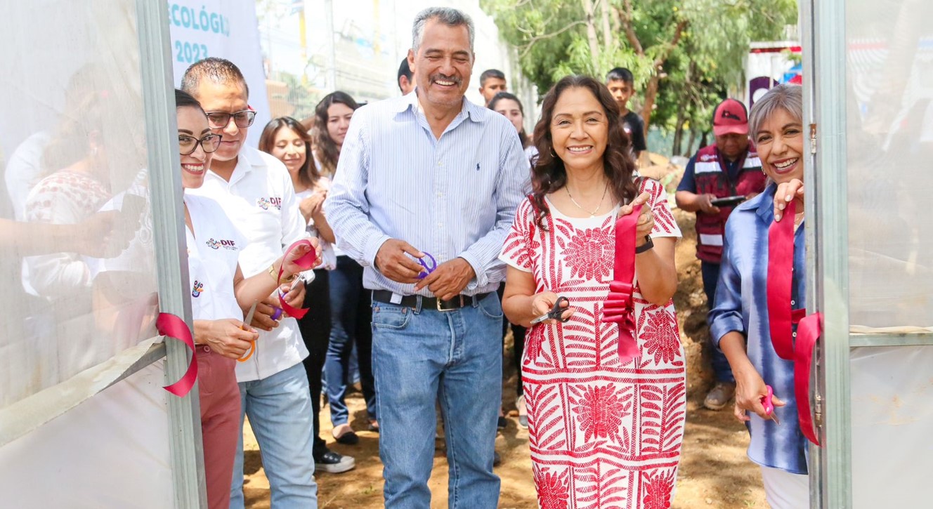 Se obtiene exitosa cosecha de hortalizas en el macro túnel del Sistema DIF Oaxaca