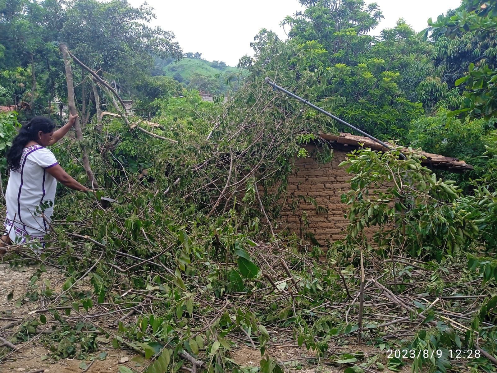 Protección Civil monitorea regiones de la Costa y Mixteca, ante fuertes lluvias