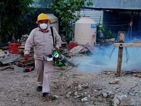 Cambio climático, adaptabilidad del vector y migración precipitan el aumento de dengue: SSO