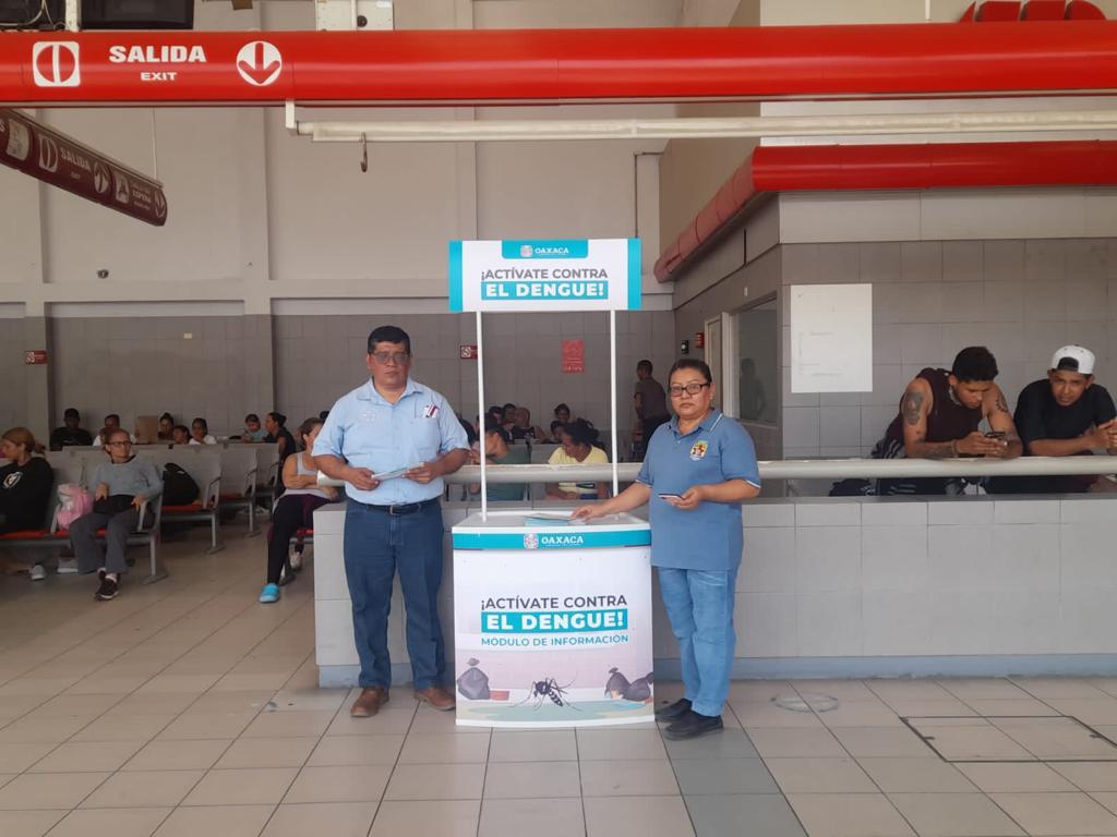 Valles Centrales y Mixteca, Jurisdicciones Sanitarias más afectadas por dengue: SSO
