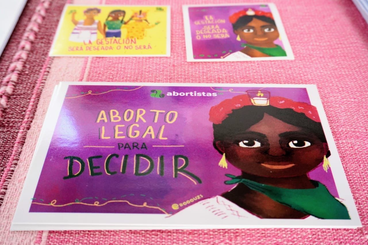 Garantizar ILE con perspectiva de género y enfoque de derechos humanos: SM