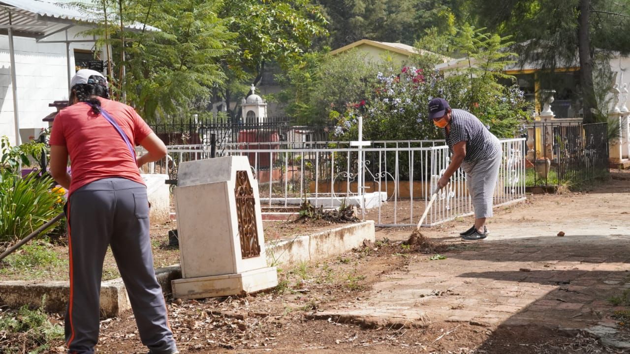 Reporta SSO 116 casos nuevos de dengue