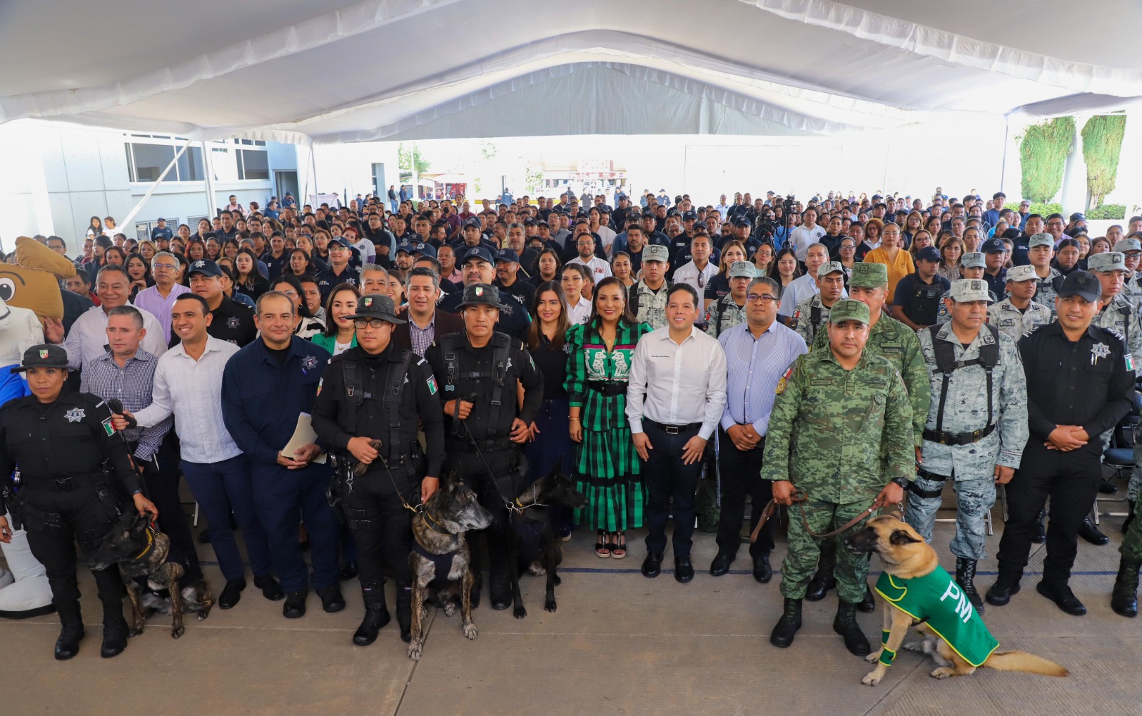 Atiende SESESP el maltrato animal como estrategia de prevención del delito