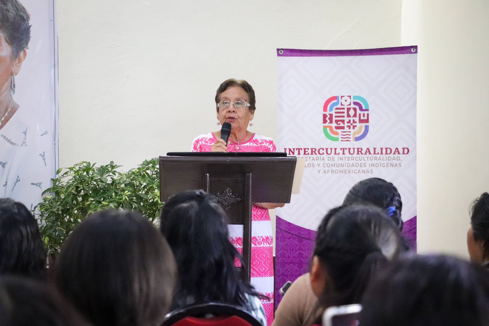 Visibiliza SIPCIA las violencias múltiples que viven mujeres indígenas y afromexicanas