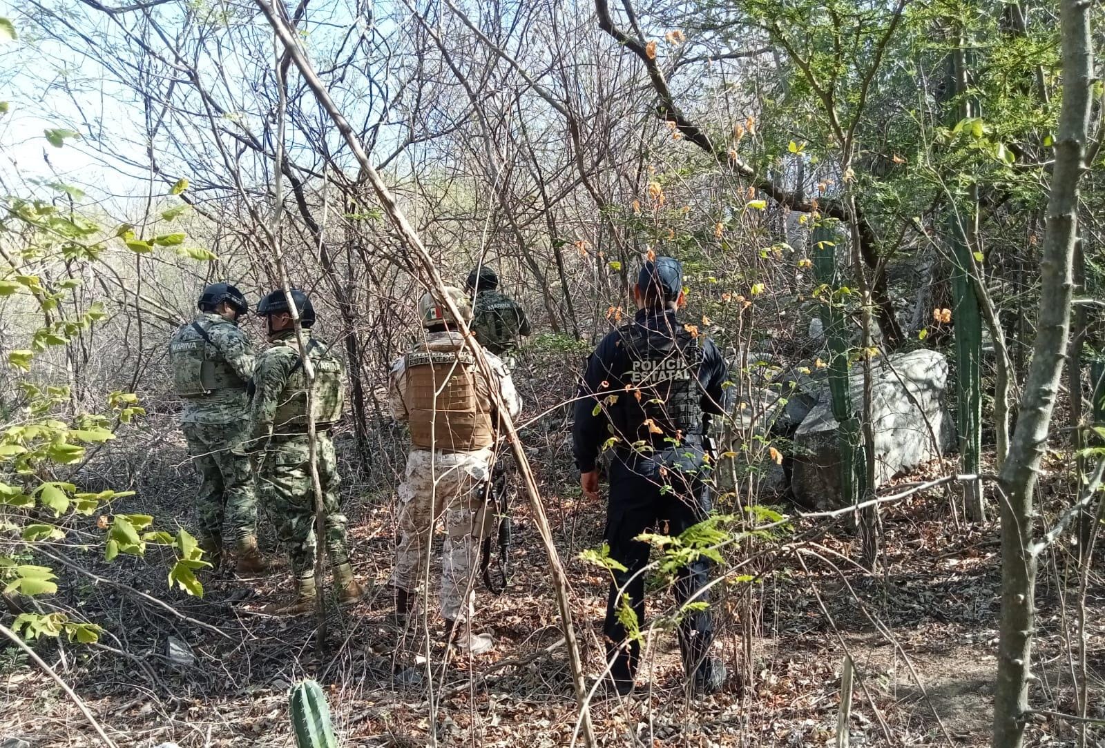 En una acción conjunta, SSPC localiza toma clandestina de hidrocarburos en Salina Cruz