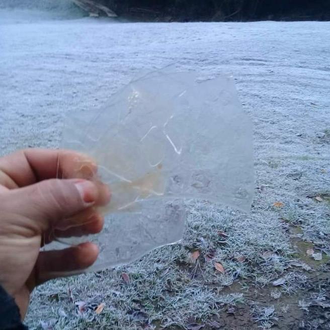 Activa Protección Civil monitoreo ante descenso de temperaturas