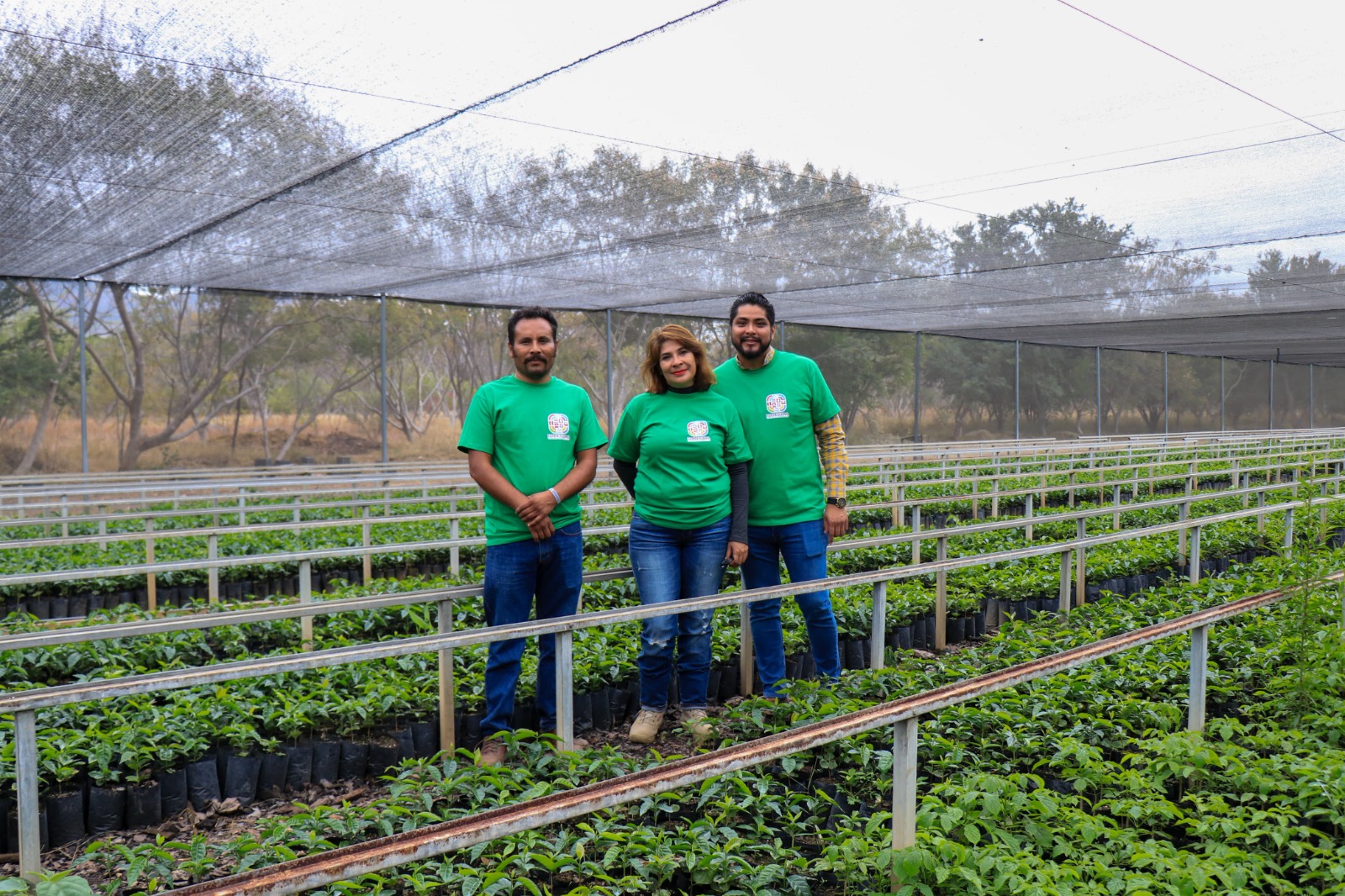 Icapet y Coesfo ponen en marcha curso sobre producción de plantas forestales