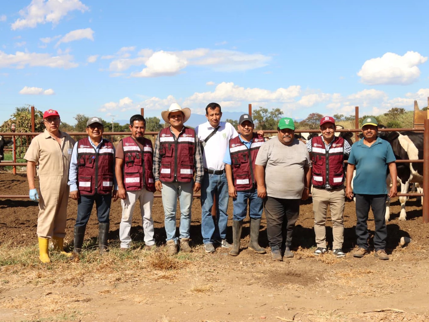 Vacunan 250 cabezas de ganado contra brucelosis en San Pablo Huixtepec