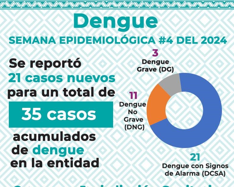 Cierra enero con 35 casos de dengue: SSO