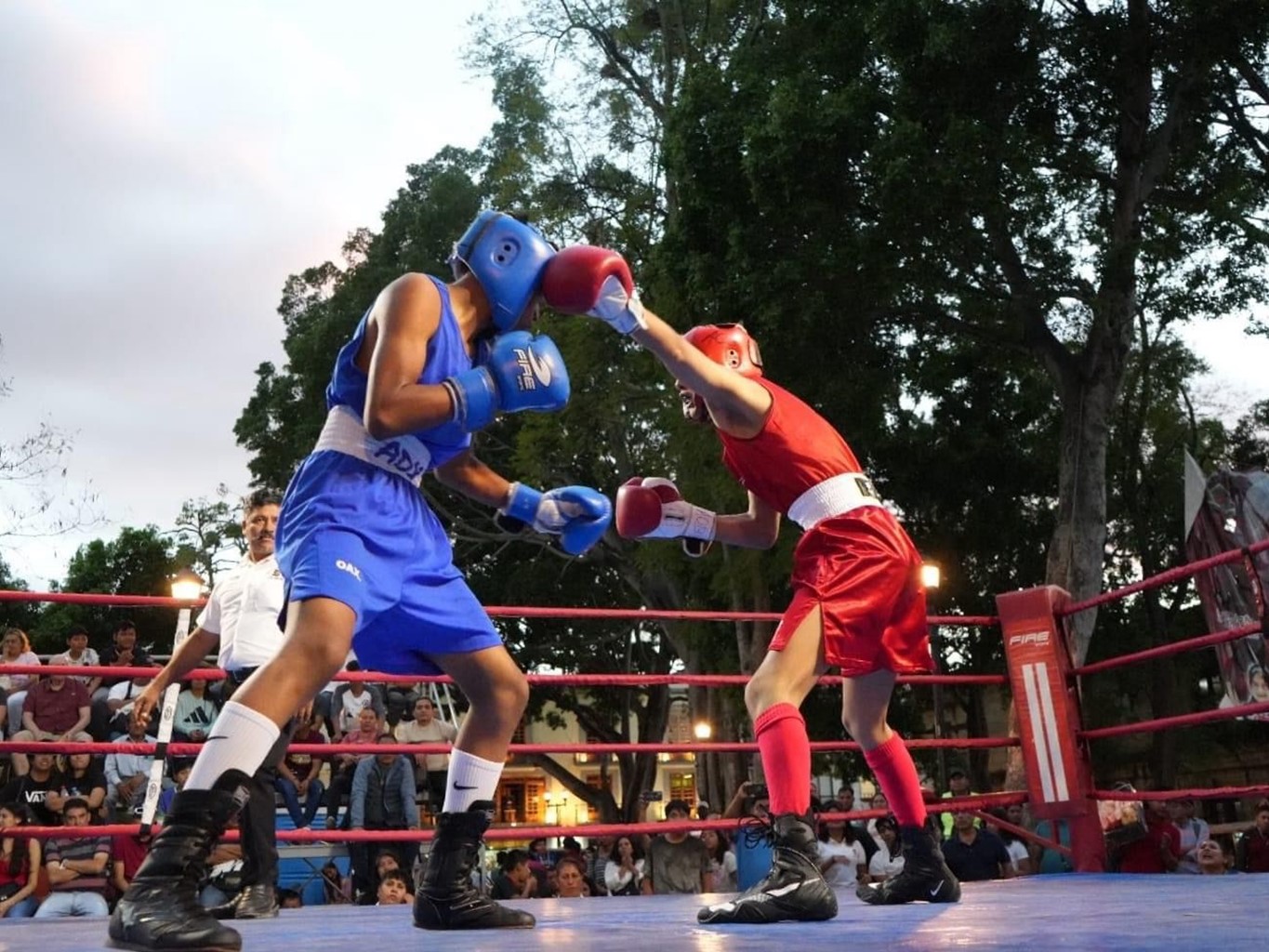 Inicia el Abierto Estatal de Boxeo Oaxaca 2024