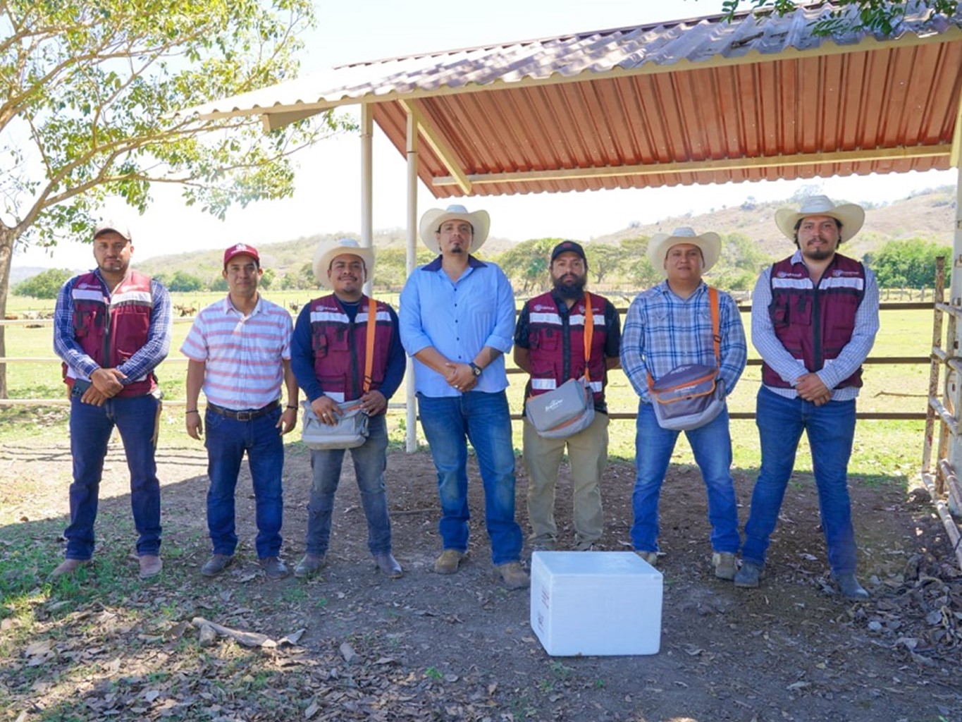 Previene Sefader propagación de rabia en especies ganaderas de la Costa