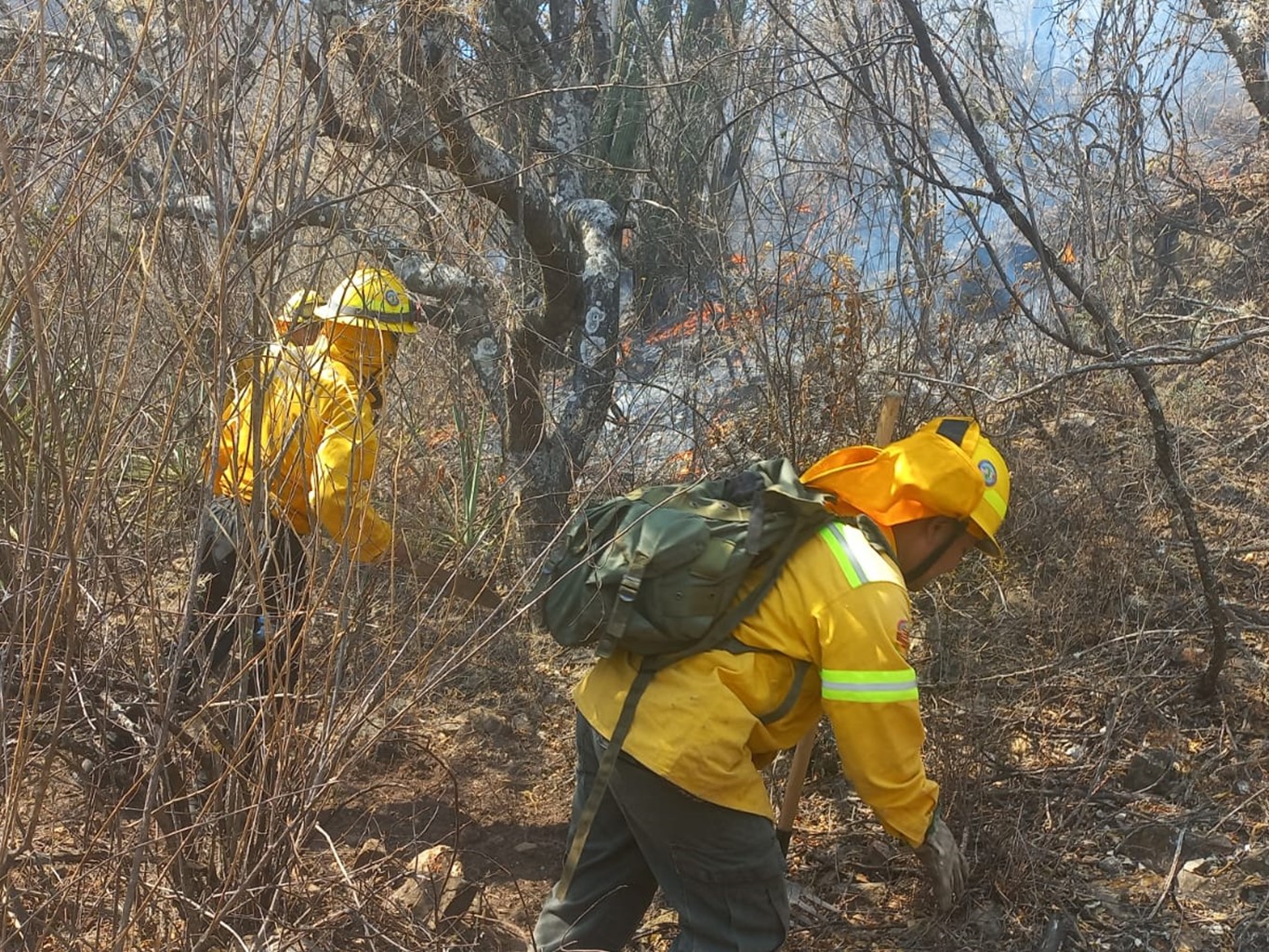 Controlado al 100% incendio en San Miguel Peras