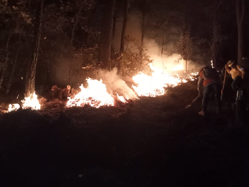 Atiende Gobierno de Oaxaca incendios forestales suscitados en la entidad