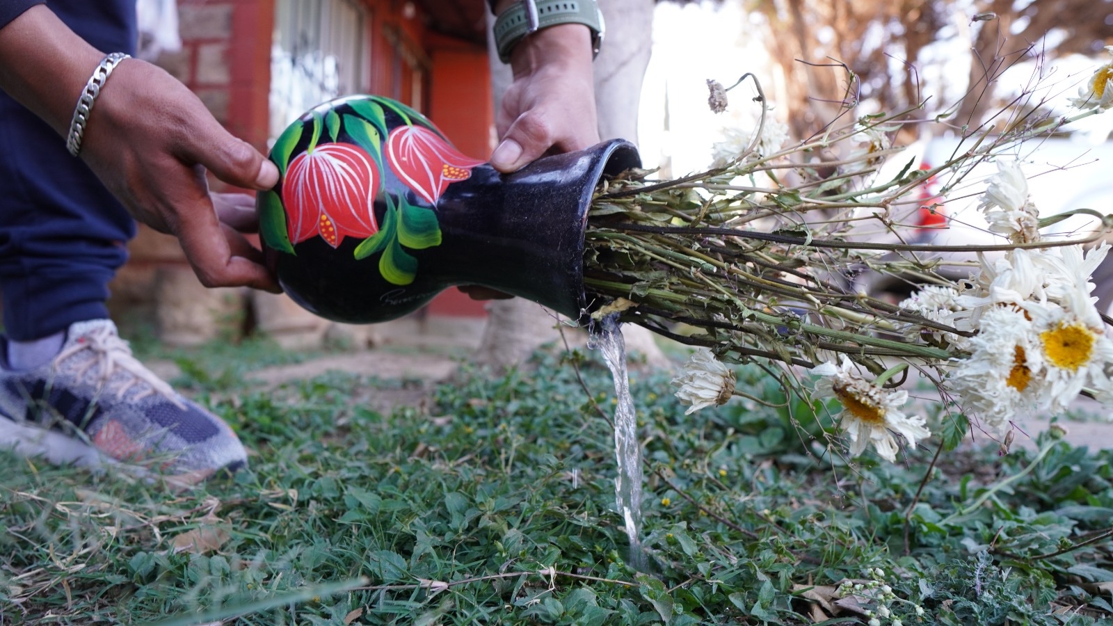 Reitera SSO que la mejor protección ante el dengue es eliminar criaderos del mosquito
