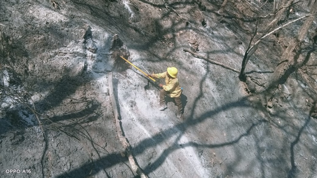 Reporta Gobierno del Estado 90% de control y 50% de liquidación de incendio originado en San Lucas Quiaviní