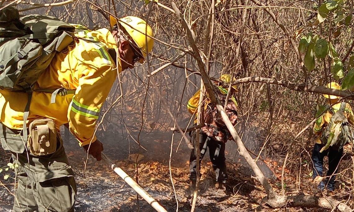 Liquida Coesfo incendios en la Cuenca y la Costa