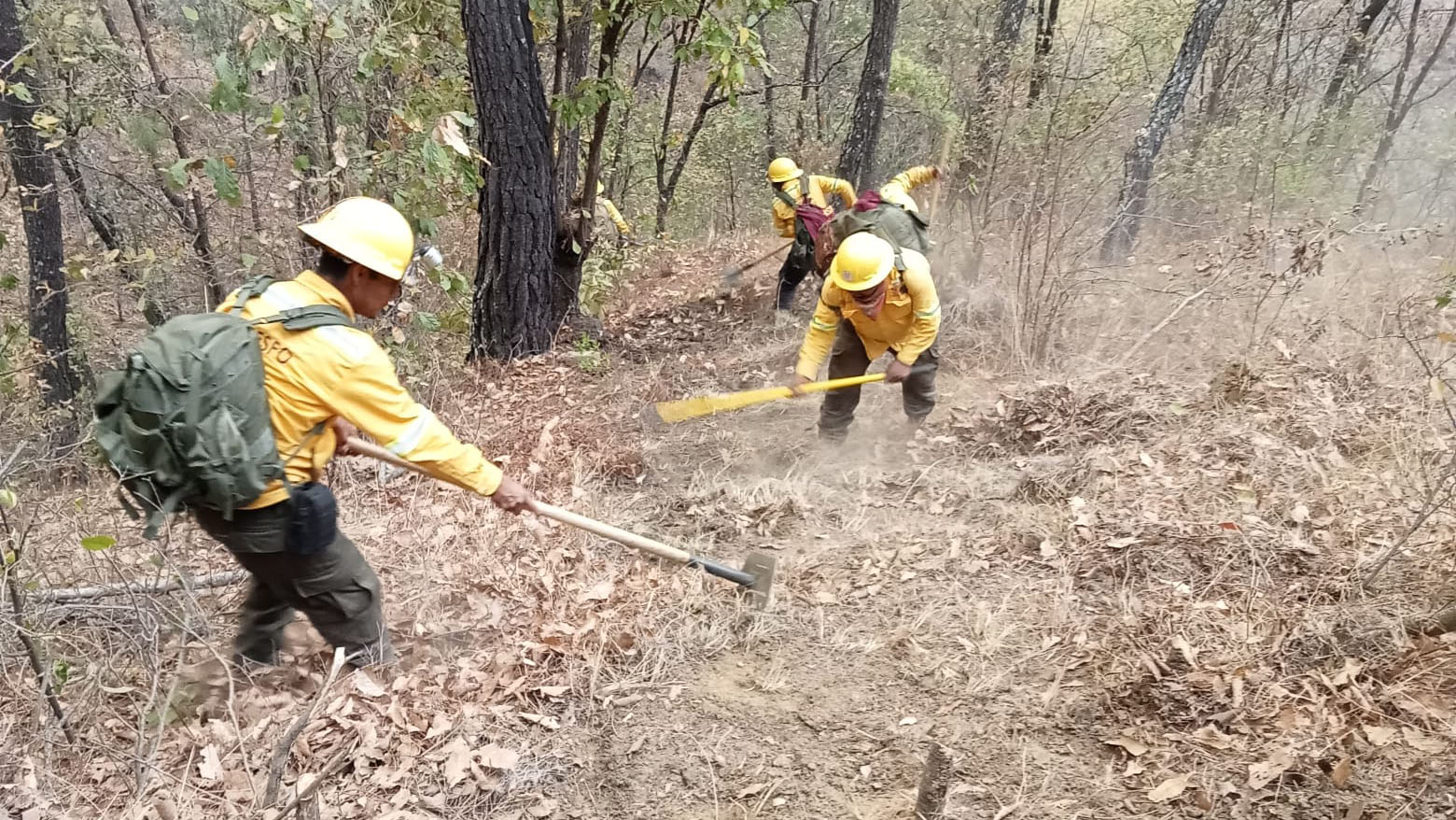 Liquida Coesfo incendio forestal en la agencia de Asunción Mixtepec