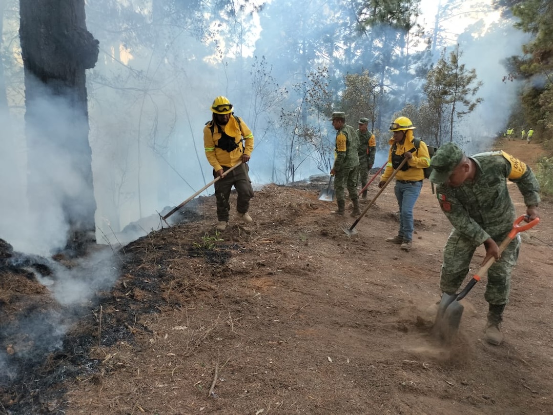 Combaten incendio forestal en agencia de Asunción Mixtepec