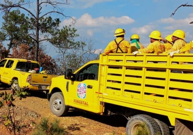 Atiende Coesfo incendio forestal en Quiavini