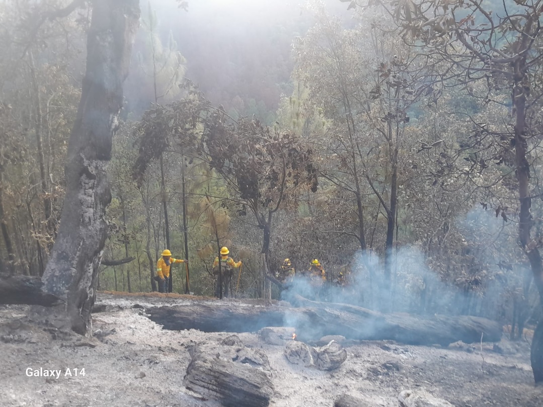Controla Coesfo incendios en localidades de San Martín Peras