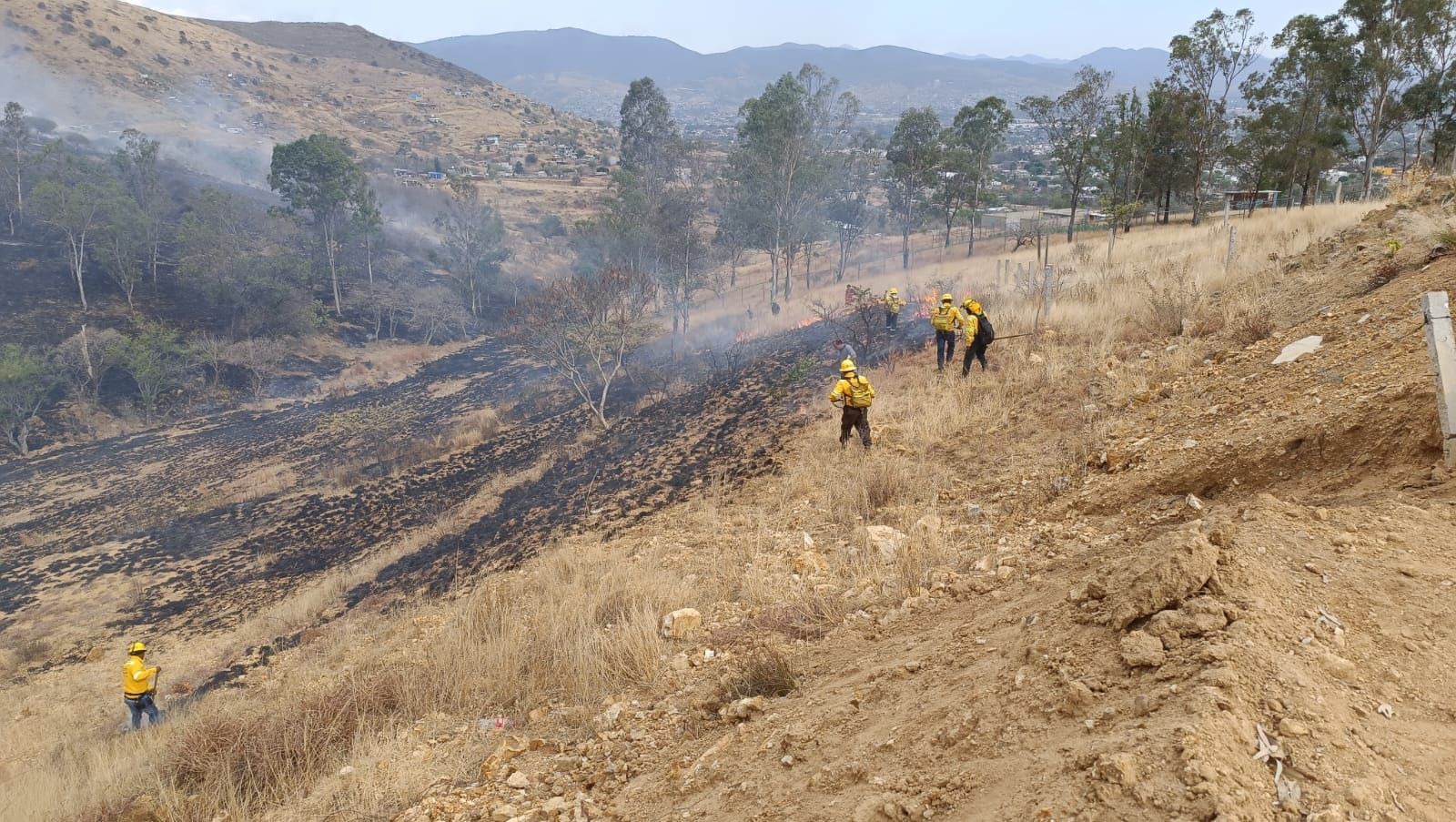 Liquidado incendio en Santa Cruz Xoxocotlán