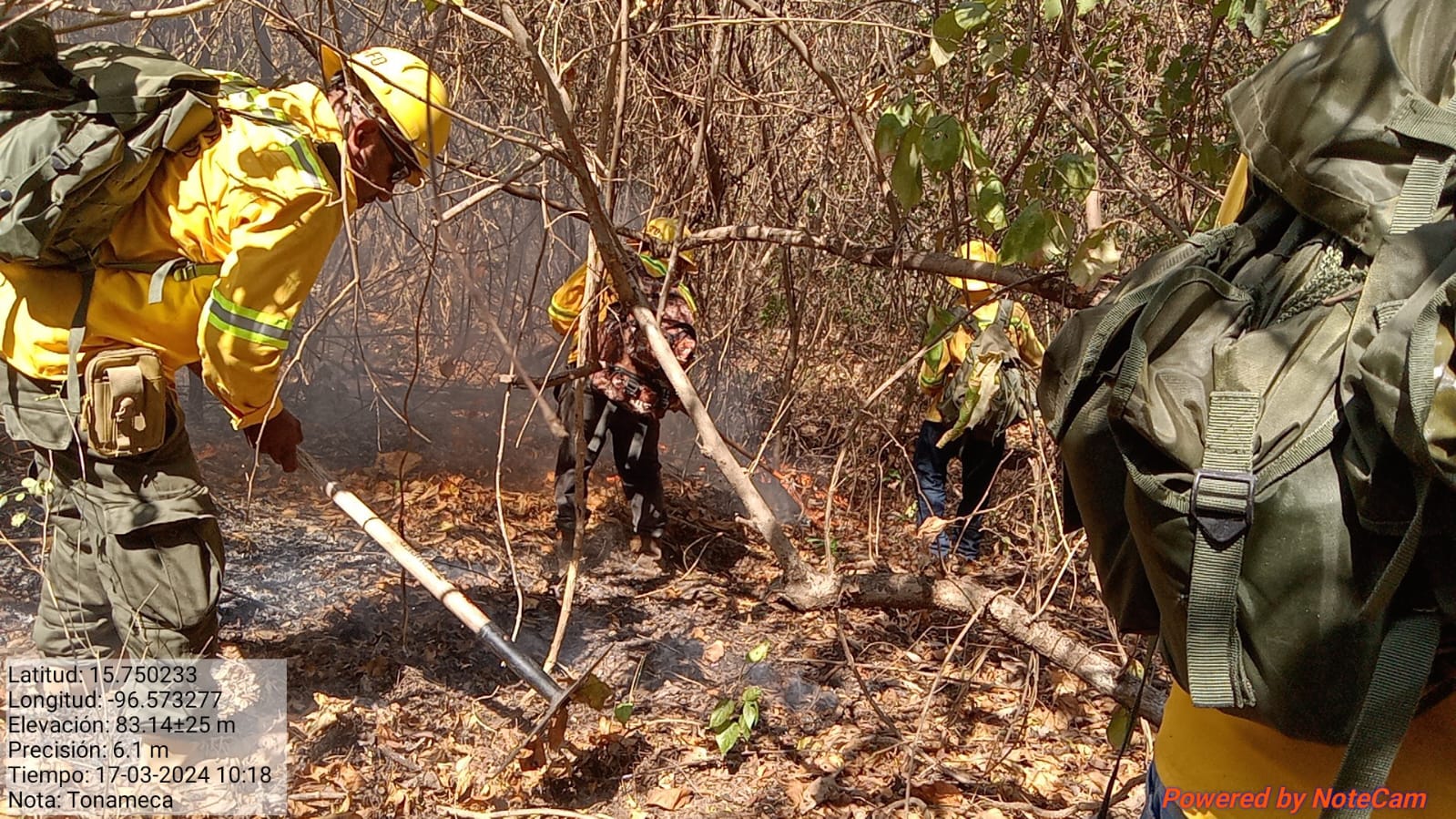 Combate Coesfo incendio forestal en Santa María Tonameca