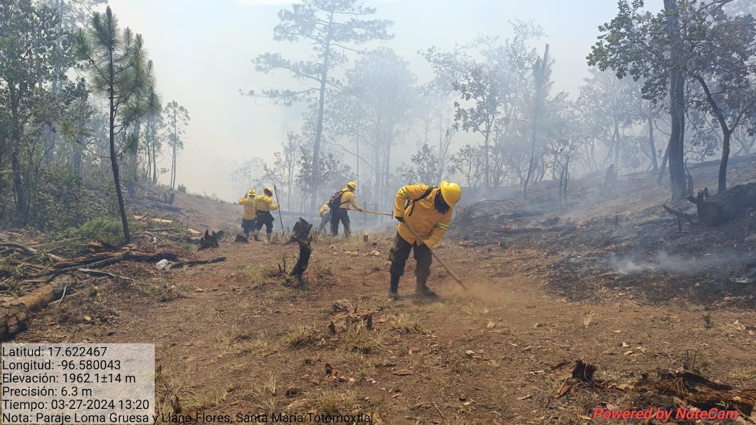 Liquida Coesfo incendios en Sierra Sur y Sierra de Juárez