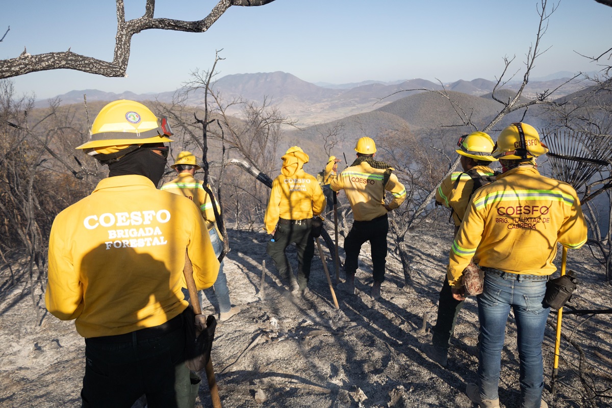 Avanza Coesfo con apertura de brecha cortafuego en perimetros de incendio en San Lucas Quiavini