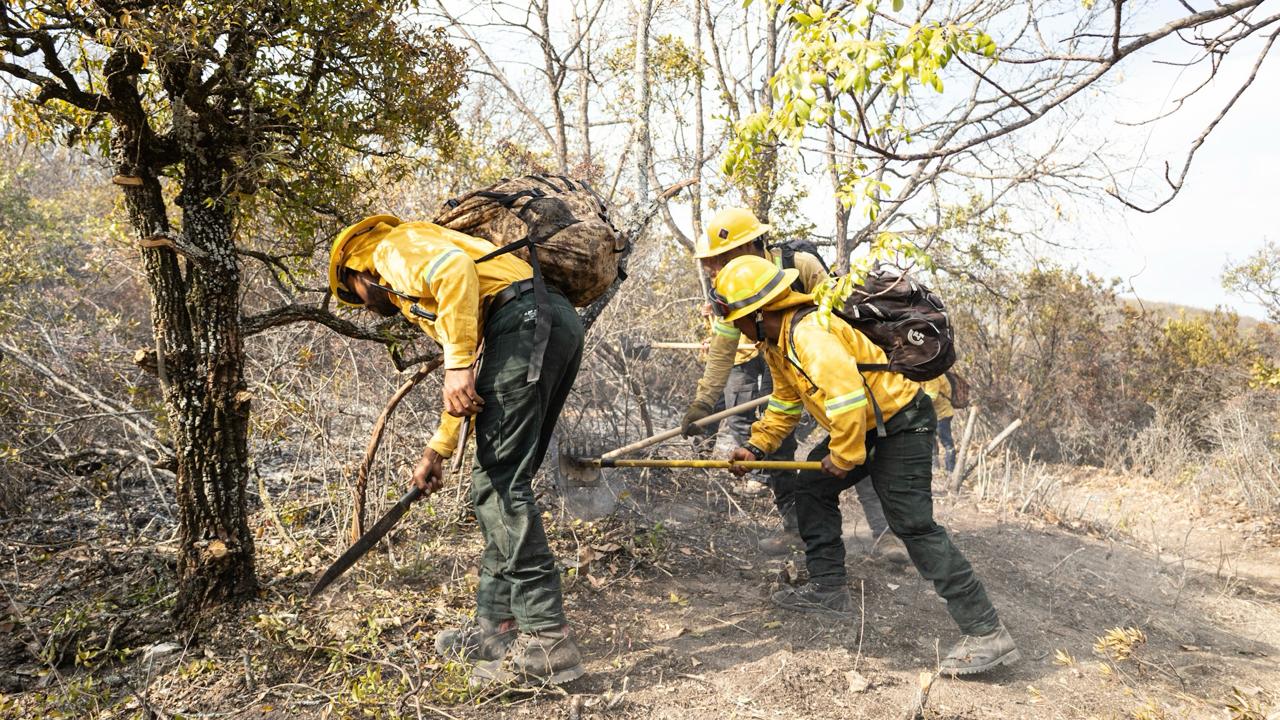 Plan estratégico de combate, crucial en la liquidación del incendio en San Lucas Quiaviní