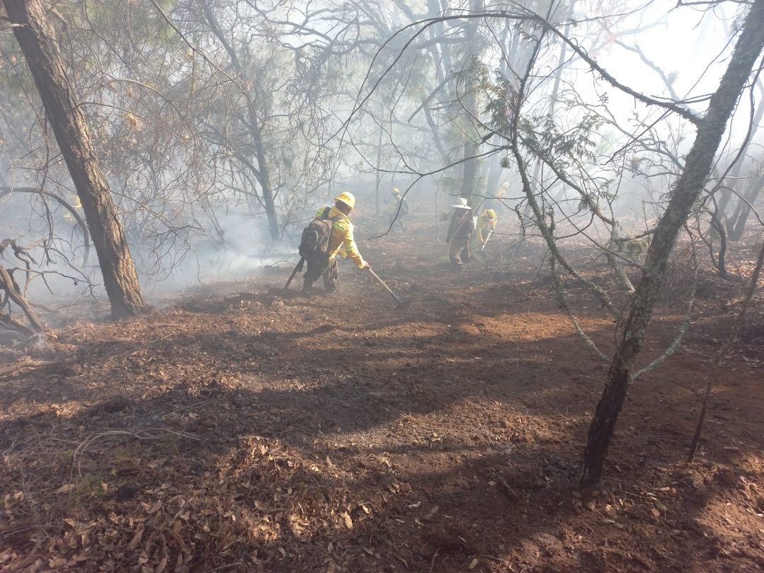 Atienden incendio en San Juan Bautista Guelache