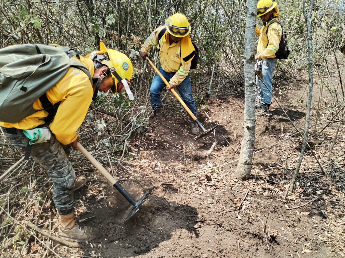 Controlado incendio forestal en Putla Villa de Guerrero